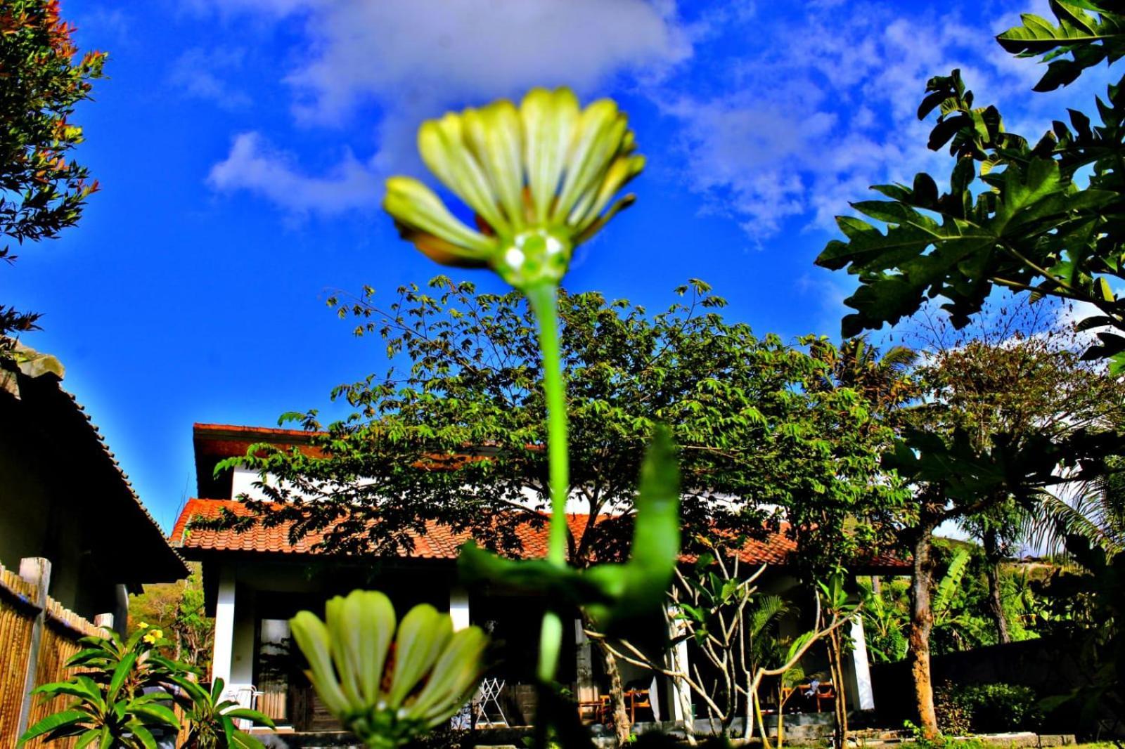 Barrel Homestay Areguling Kuta  Exterior foto